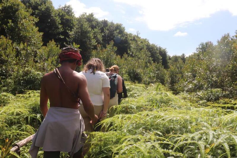 Siem Reap: Agroecological Farm Tour with Meals & Pool - An In-Depth Look at the Tour