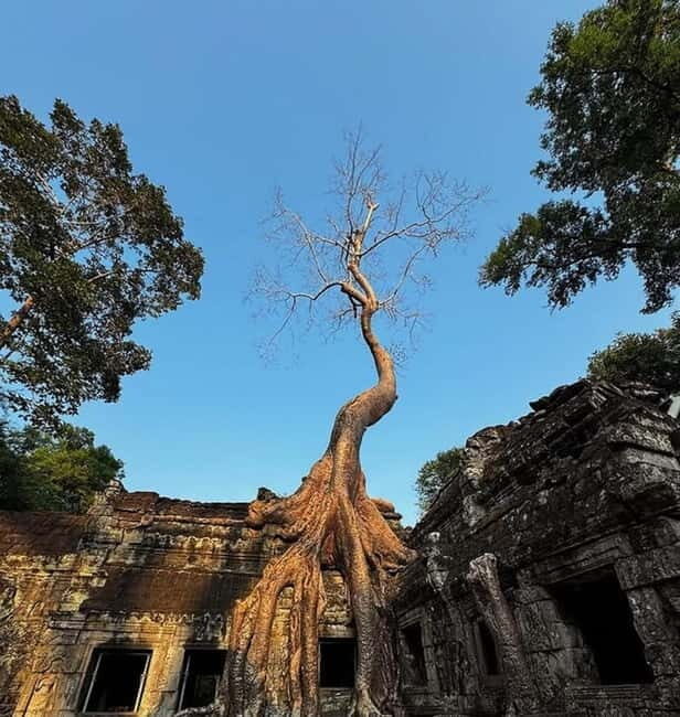 Siem Reap: Angkor 1-Day Private Tour with Sunset or Sunrise - Transport and Comfort