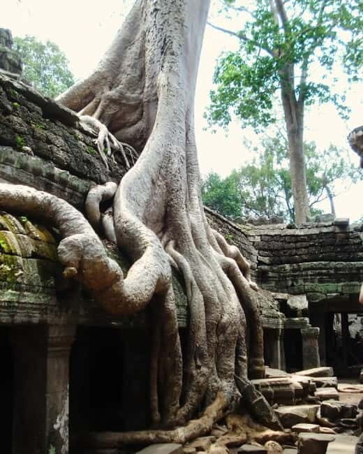 Siem Reap: Angkor 1-Day Private Tour with Sunset or Sunrise - Practical Tips for Your Visit