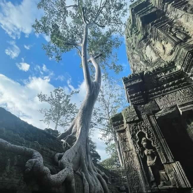 Siem Reap: Angkor 1-Day Private Tour with Sunset or Sunrise - Final Thoughts