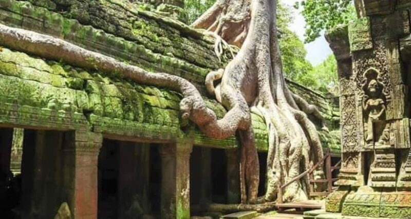Siem Reap: Angkor and Ta Prohn Ancient Temples 3-Day Tour - Why This Tour Offers Real Value