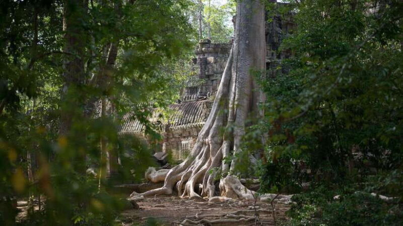 Siem Reap: Angkor Temples Off-Track Bicycle Tour - An In-Depth Look at the Experience