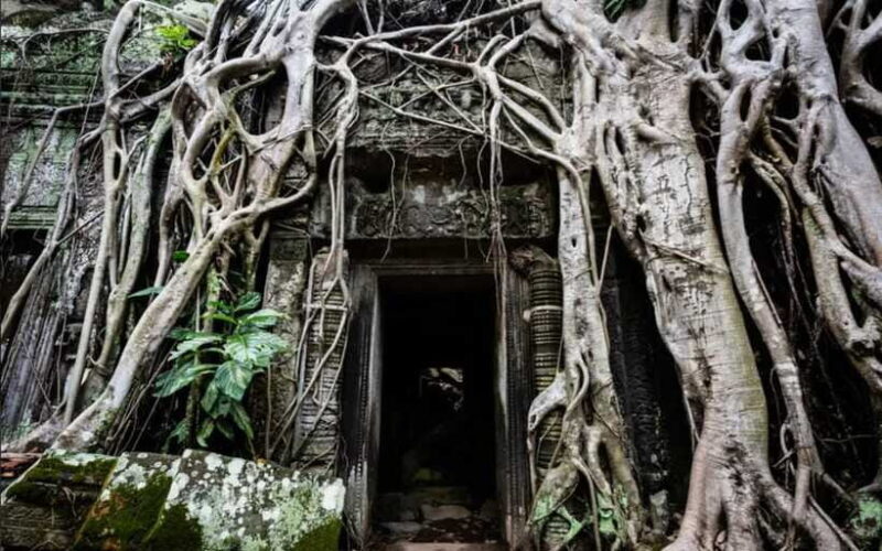 Siem Reap: Angkor Temples Tour - Shared Tours tours guide - FAQ