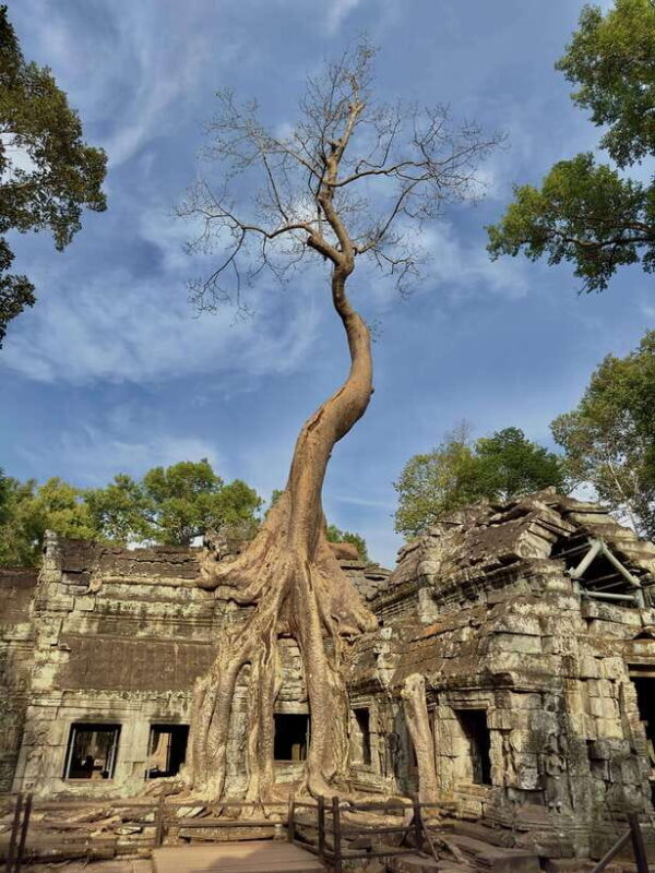 Siem Reap: Angkor Wat and Floating Village Day Tour - Who Is This Tour Best Suited For?
