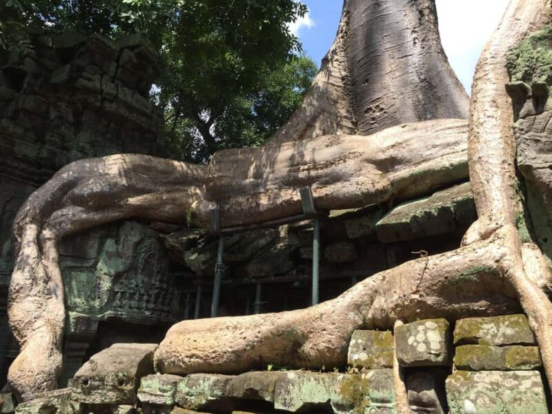 Siem Reap: Angkor Wat, Angkor Thom, and Ta Prohm Tour - Who This Tour Is Best Suited For