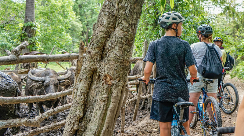 Siem Reap Angkor Wat Morning Cycling Tour - Temple stops add more than photo breaks
