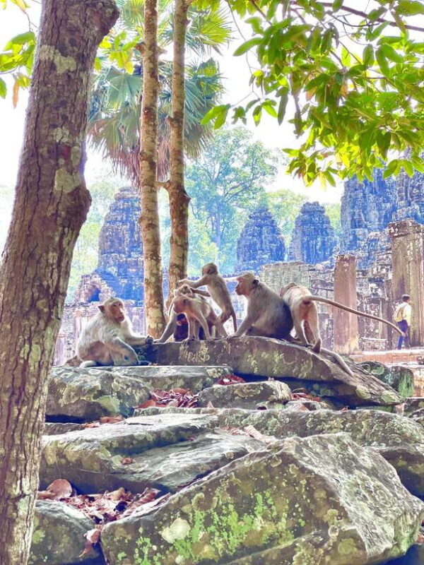 Siem Reap: Angkor Wat Private full Day Tour - FAQ
