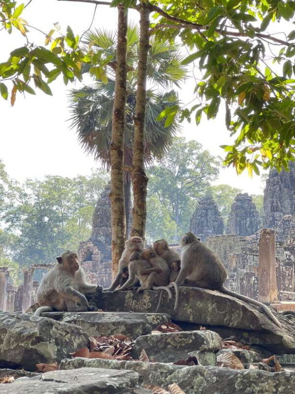 Siem Reap: Angkor Wat Private full Day Tour - Lunch Break: Rest and Recharge  