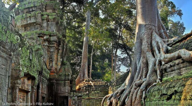 Siem Reap: Angkor Wat: Small-Group Sunrise or Sunset Tour - Good To Know