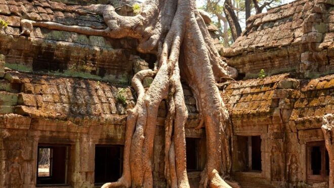 Siem Reap: Angkor Wat: Small-Group Sunrise Tour - Review Summary