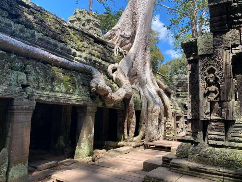 Siem Reap: Angkor Wat Sunrise and Full-Day Sightseeing Tour - A Deep Dive into the Itinerary: What to Expect