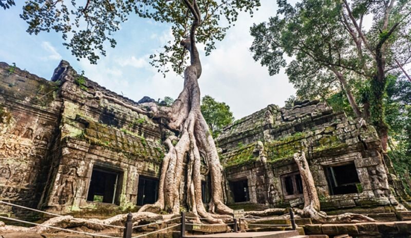 Siem Reap Angkor Wat Sunrise Private Tour - What the private tuk-tuk adds