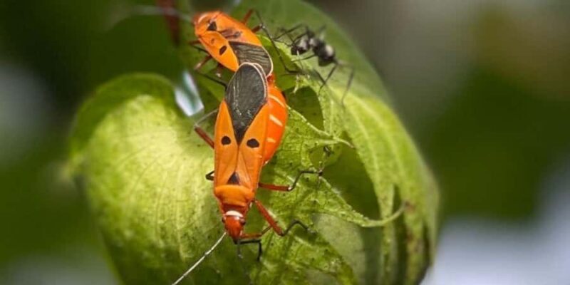 Siem Reap: Angkor Wat Sunrise Private Tour & Photos - Exploring the Siem Reap: Angkor Wat Sunrise Private Tour & Photos