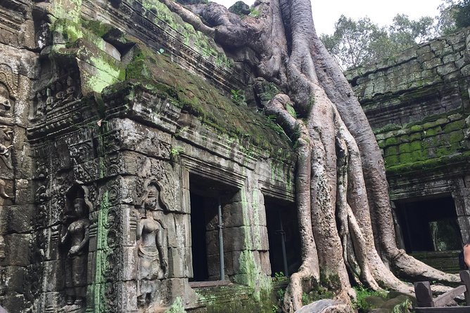 Siem Reap Angkor Wat Sunrise Small Tour By Join In - The Sum Up