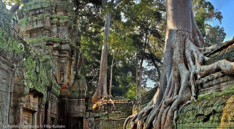 Siem Reap: Angkor Wat Temples & Phnom Kulen Park 3-Day Tour - What Travelers Say