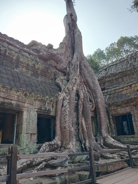 Siem Reap: Angkor Wat Tour with Portuguese-Speaking Guide - Who Would Love This Tour?