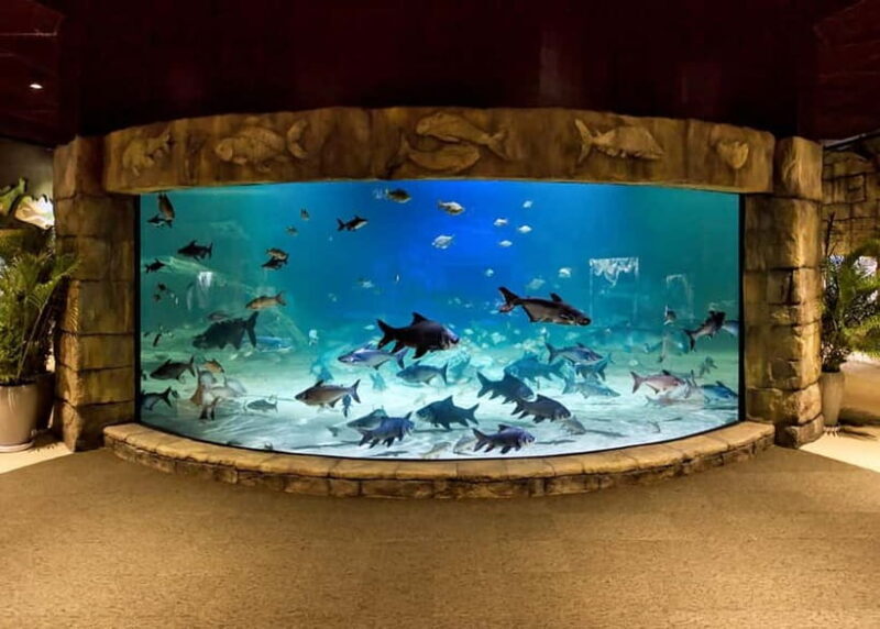 Siem Reap: Angkor Wildlife & Aquarium Entrance Ticket - Exploring the Angkor Wildlife & Aquarium Entrance Ticket: An Honest Review