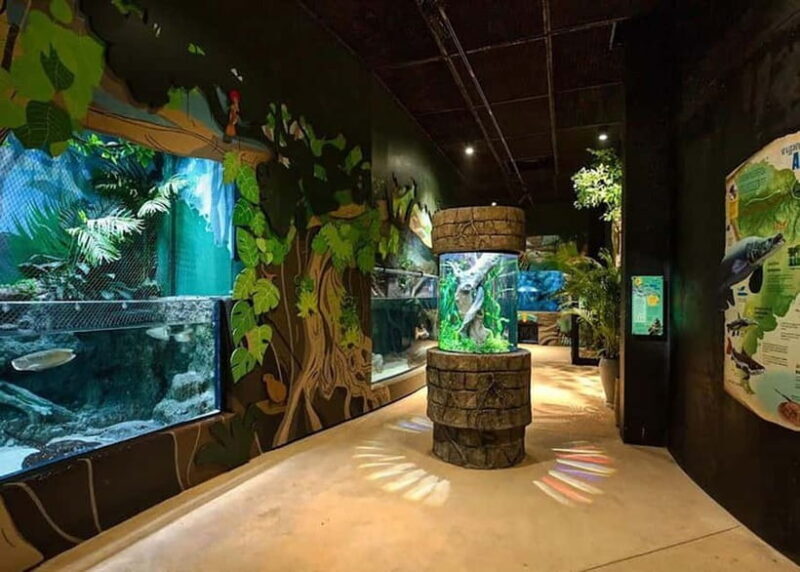Siem Reap: Angkor Wildlife & Aquarium Entrance Ticket - An In-Depth Look at the Angkor Wildlife & Aquarium Experience
