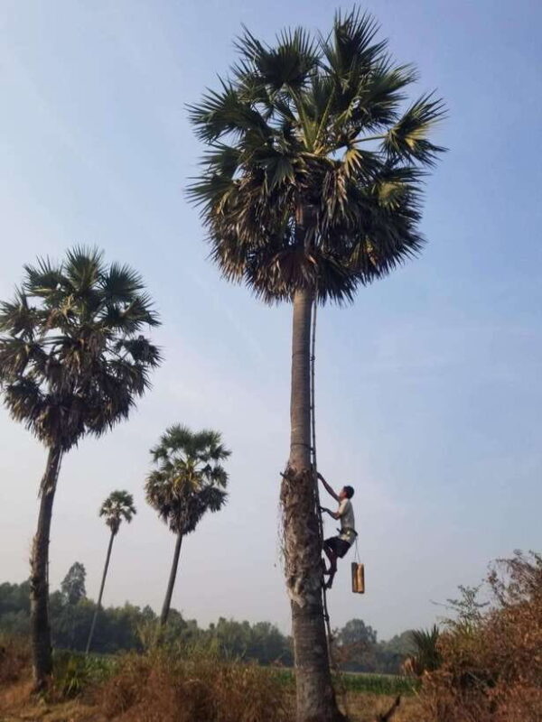 Siem Reap: Authentic Village Tour with Ox Cart Ride - Final Thoughts
