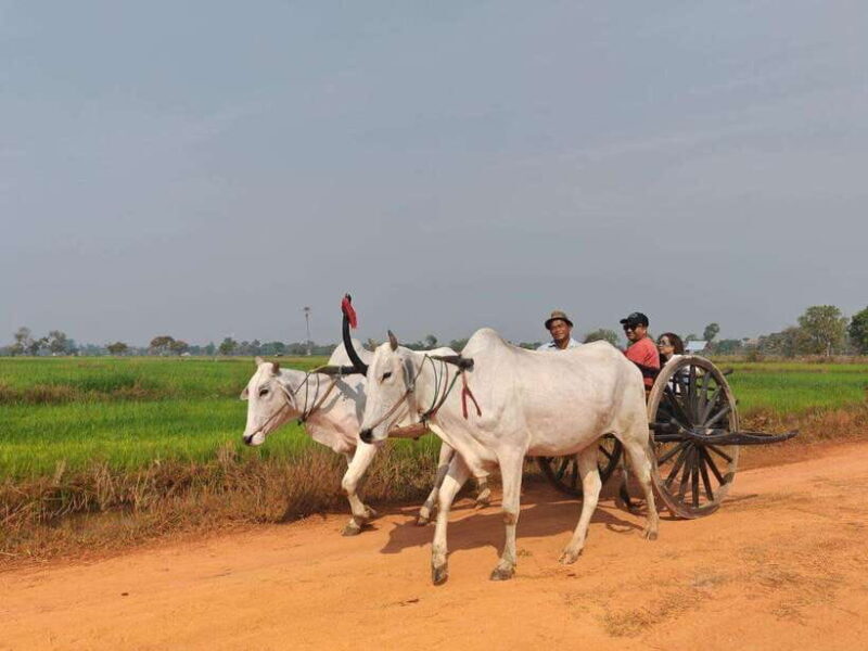 Siem Reap: Authentic Village Tour with Ox Cart Ride - An In-Depth Look at the Siem Reap Village Tour