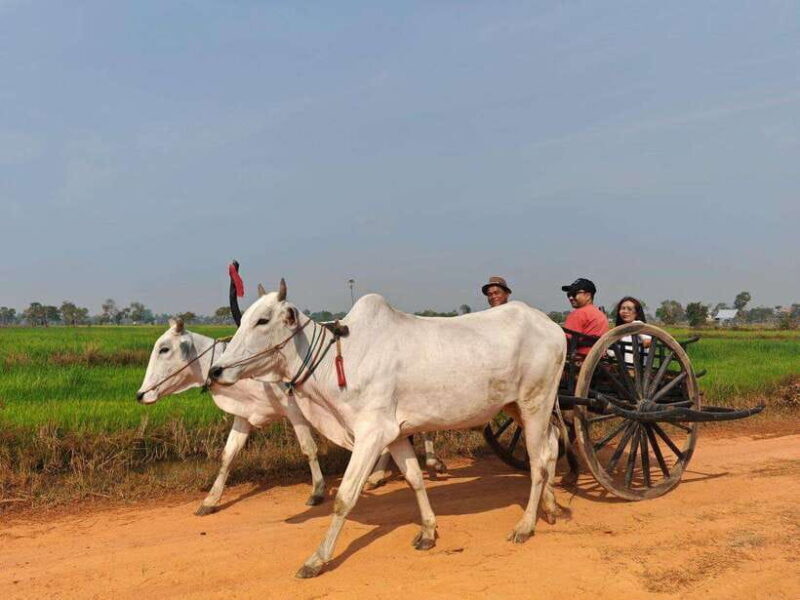 Siem Reap: Authentic Village Tour with Ox Cart Ride - Practical Details and What You Should Know