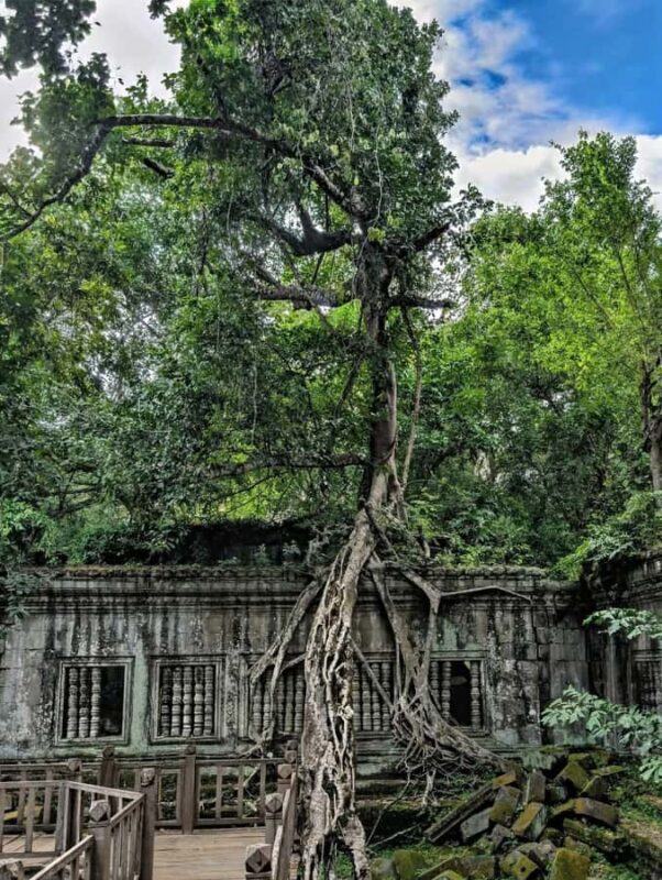 Siem Reap: Banteay Srei, Beng Mealea & Kampong Phluk Tour - Why This Tour Is Worth Considering