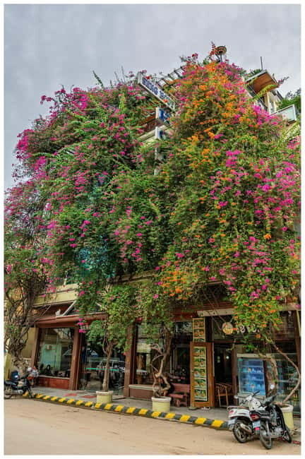 Siem Reap: Battambang Day Trip with French Tour Guide - Final Thoughts