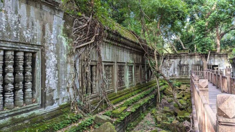 Siem Reap: Beng Mealea & Kampong Khleang Day Trip - An Introduction to the Day Trip Experience