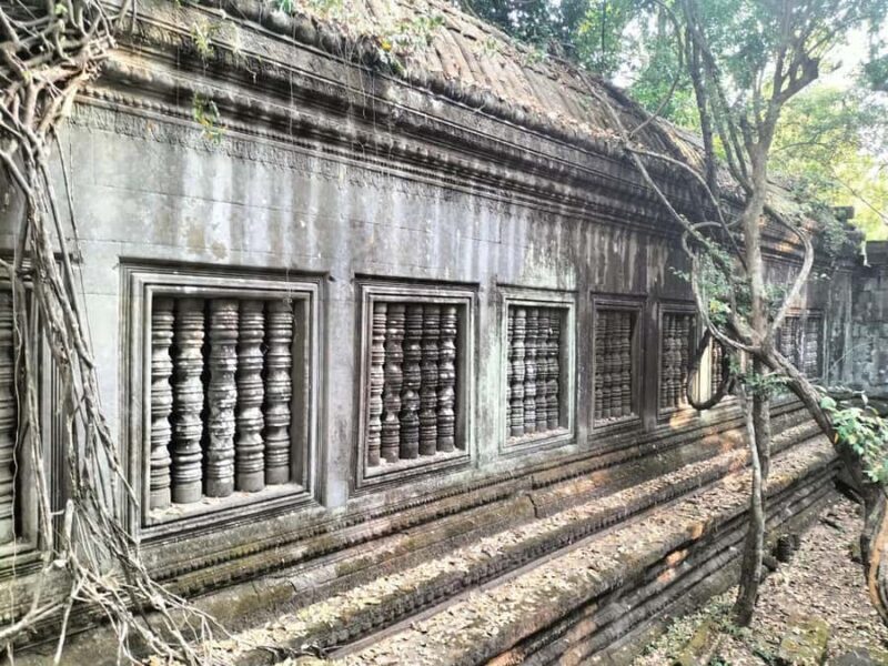 Siem Reap: Beng Mealea & Koh Ker Temples Private Tour - Final Thoughts