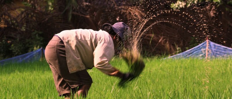 Siem Reap Cambodian Village Half-Day Private Cultural Experience - What to know before you go