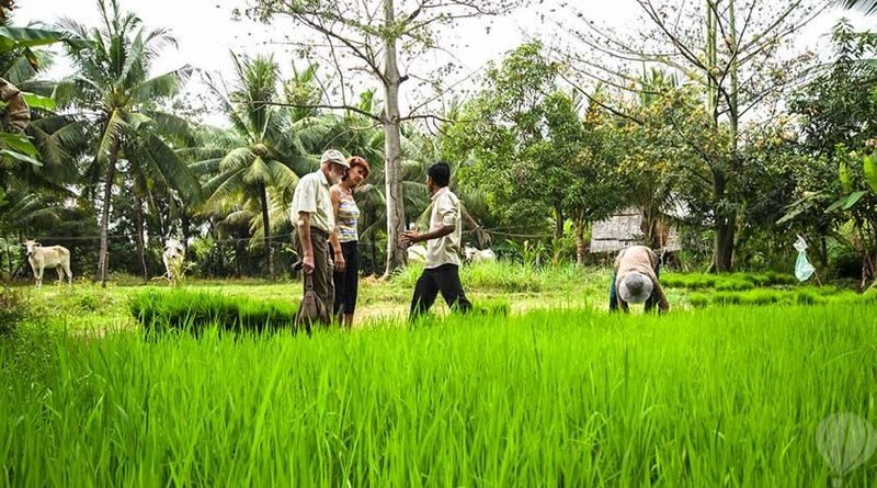 Siem Reap Cambodian Village Half-Day Private Cultural Experience - Helping make thatch for a village home