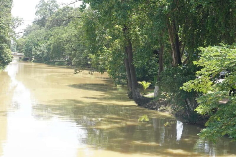 Siem Reap: City Walking Tour and Art Gallery Visit - Final Thoughts