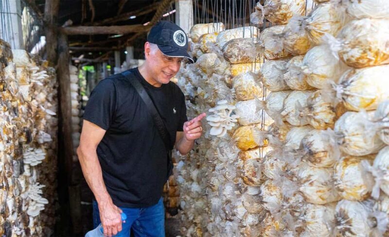 Siem Reap Cooking Class & Culinary Vespa Adventure - Final Thoughts: Why This Tour Is a Great Value