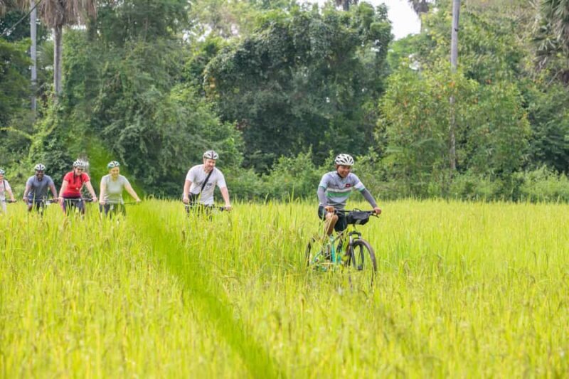 Siem Reap: Countryside Bike Tour - Farms, Temples & Snacks - An In-Depth Look at the Countryside Bike Tour