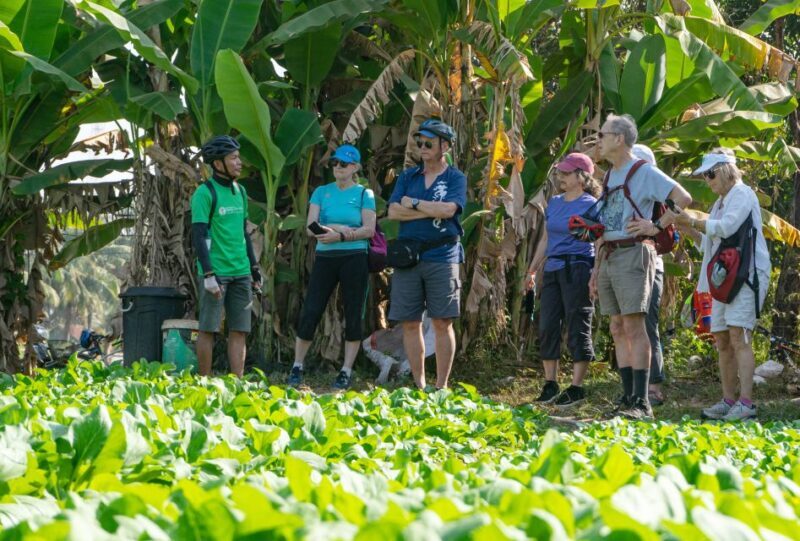 Siem Reap: Countryside Bike Tour - Farms, Temples & Snacks - Who Should Consider This Tour?