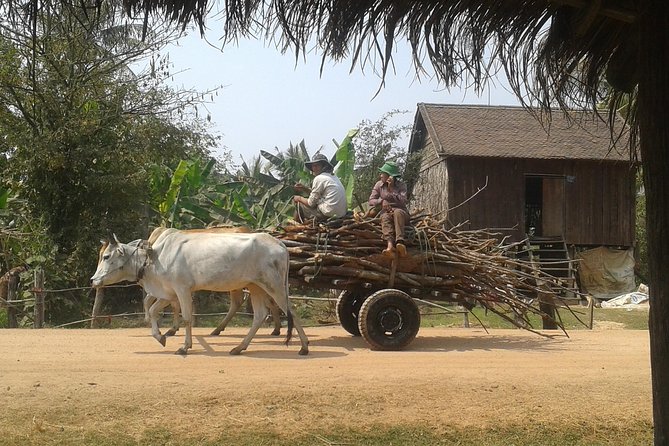 Siem Reap Countryside & Floating Village ( Meychrey) - Pickup and Transportation Details