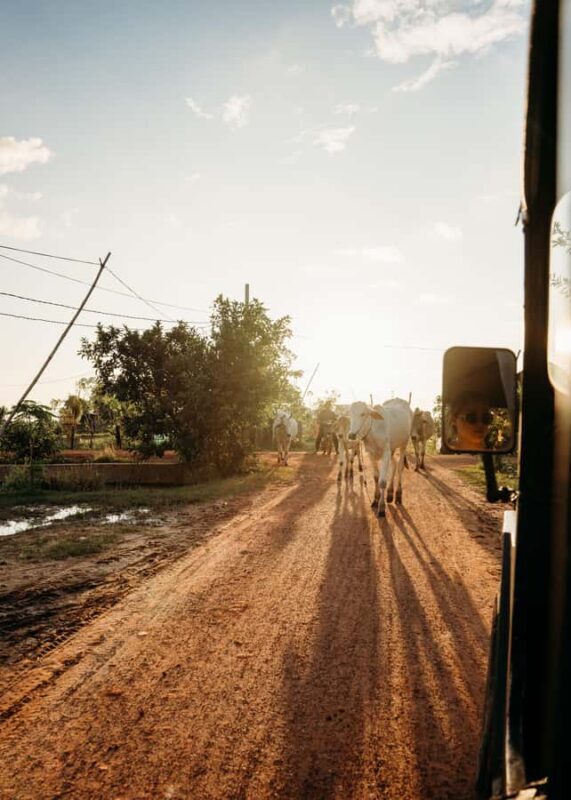 Siem Reap: Countryside Golden Hour Sunset Tour by Tuktuk - The Review from Travelers