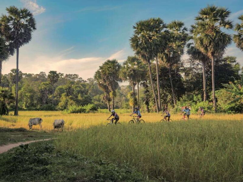 Siem Reap: Countryside Guided Tour by Bike and E-Bike - Good To Know