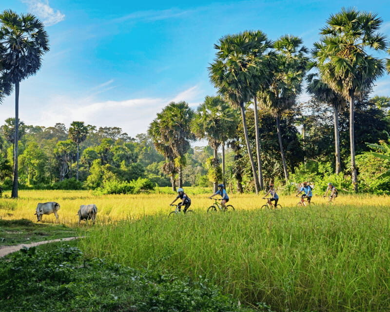 Siem Reap: Countryside Guided Tour by Bike and E-Bike - How the Tour Feels in Practice