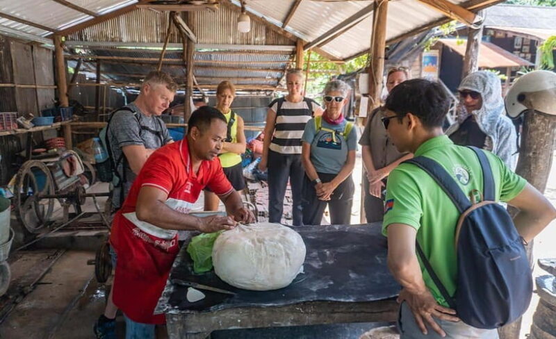 Siem Reap: Countryside Vespa Adventure - Who Should Consider This Tour?