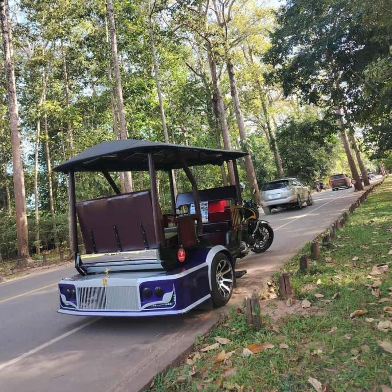 Siem Reap: Custom Angkor Wat Private Tour with Local Guide - Practical Aspects and What You’ll Need