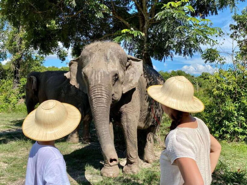 Siem Reap: Dine with Elephants, a Nature & Wildlife Journey - FAQ