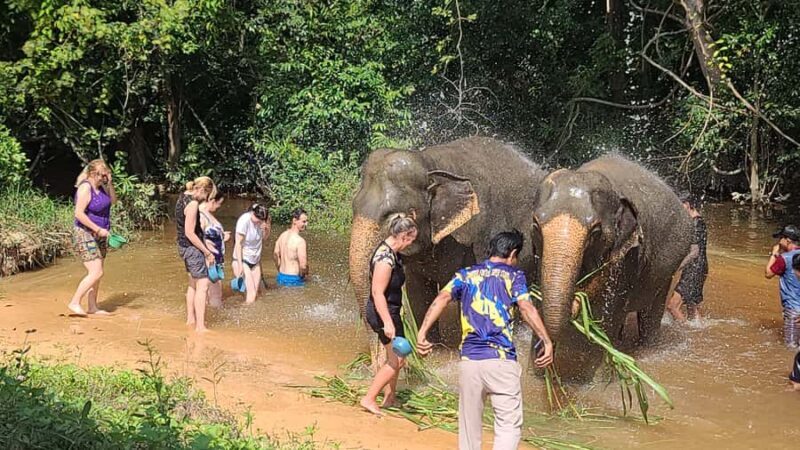 Siem Reap: Elephant Sanctuary Guided Tour - FAQ
