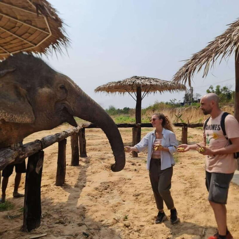 Siem Reap: Elephant Sanctuary Included Hotel Pickup Drop-off - Good To Know