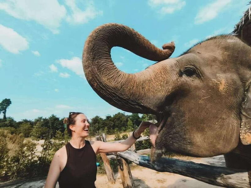 Siem Reap: Elephant Sanctuary Included Hotel Pickup Drop-off - An In-depth Look at the Elephant Sanctuary Tour
