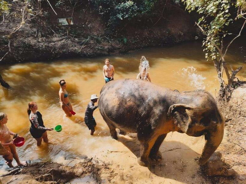 Siem Reap: Elephant Sanctuary Included Hotel Pickup Drop-off - Frequently Asked Questions