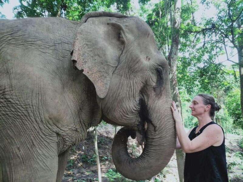 Siem Reap: Elephants & Apopo Rat Demining Private Trip - An Honest Look at the Experience