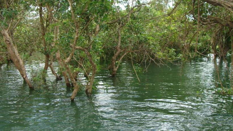 Siem Reap Floating Village Tour, Kompong Phluk Tour - Good To Know