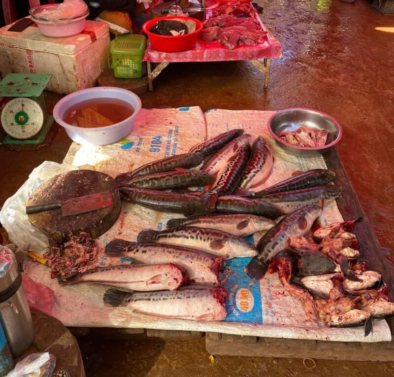 Siem Reap Half-Day: Killing Fields & Hidden Gem Highlights - Final Thoughts