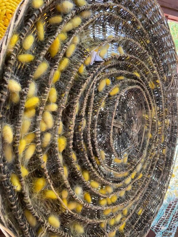 Siem Reap Half-day: Silk Farm & Countryside Discovery Tour - Final Thoughts